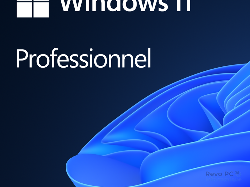 Windows 11 Professionnel