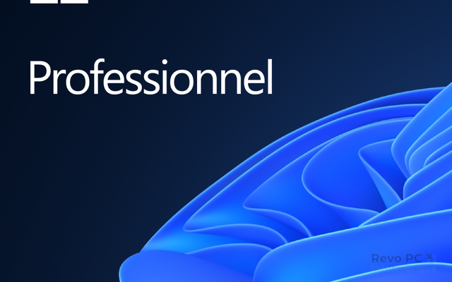 Windows 11 Professionnel